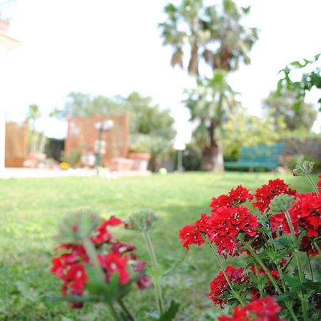 Villa Regina B&B Nettuno Exterior photo