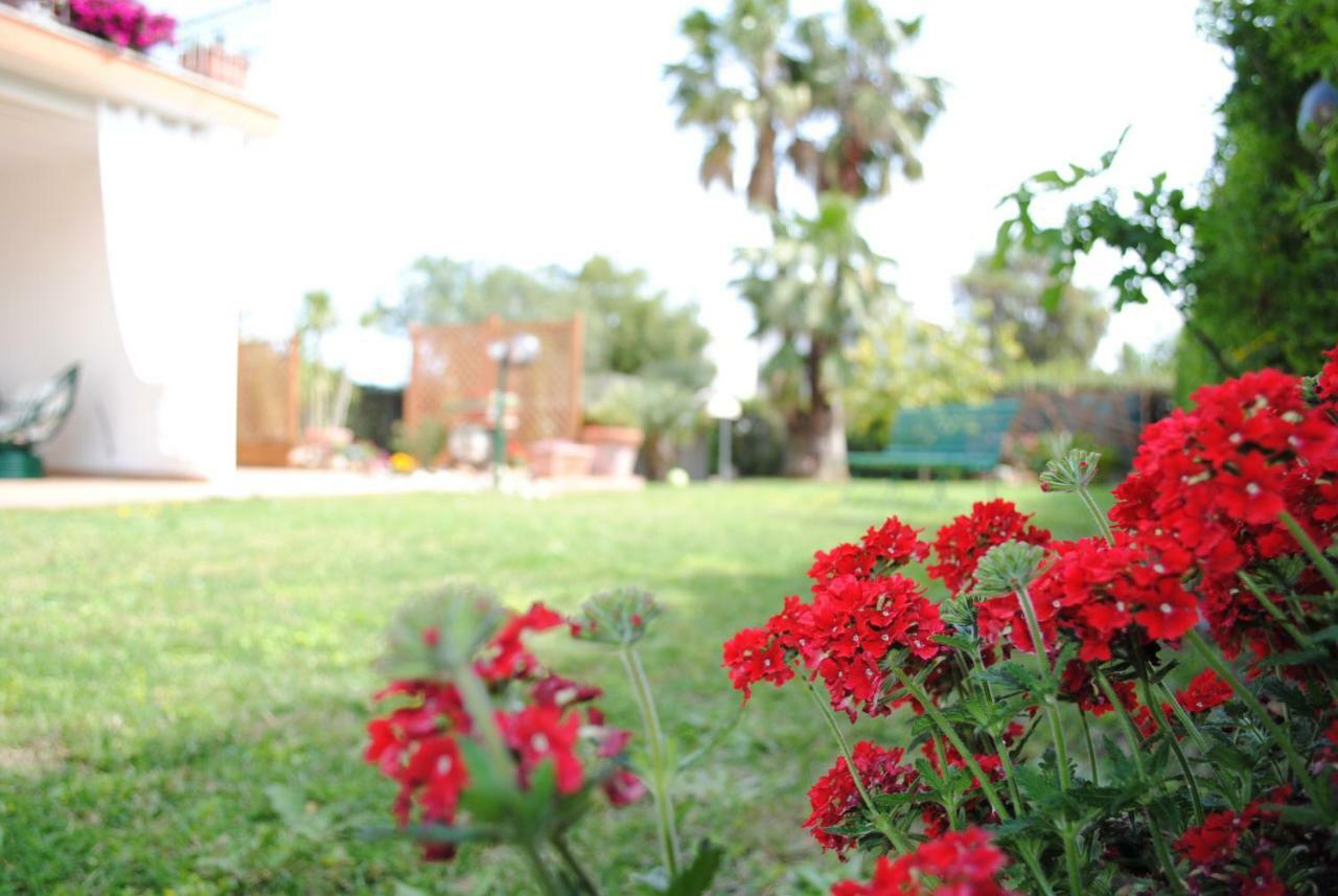 Villa Regina B&B Nettuno Exterior photo
