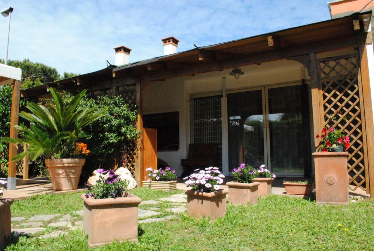 Villa Regina B&B Nettuno Exterior photo